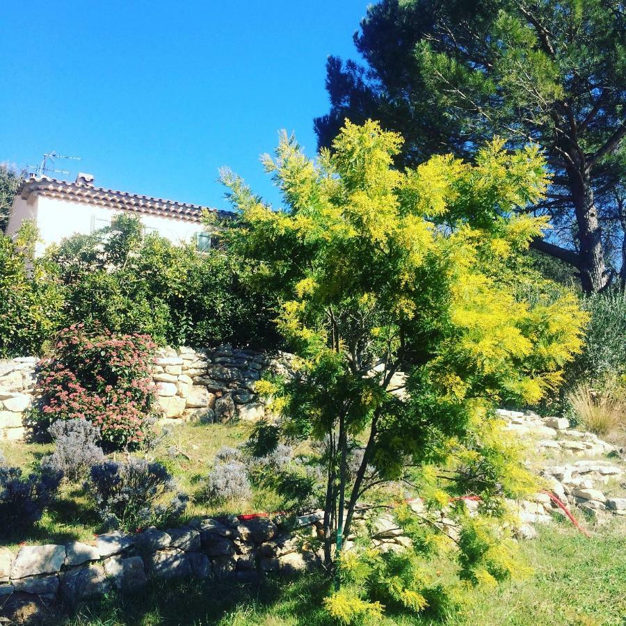 L'Oustaou B&B Piscine & Spa Besse-sur-Issole Exterior photo